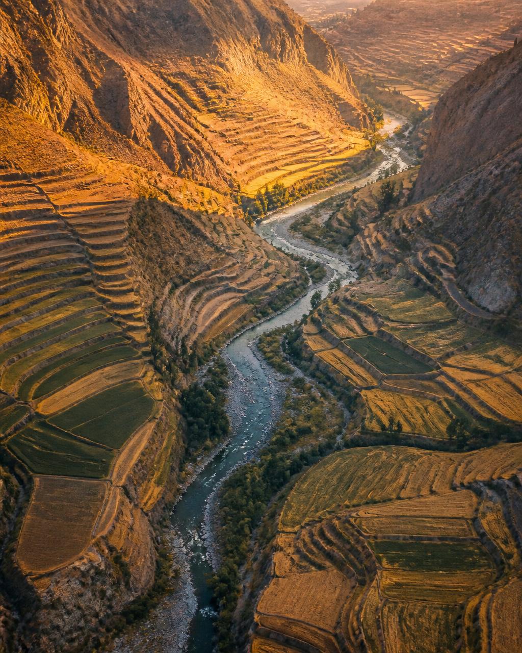 Regenerative